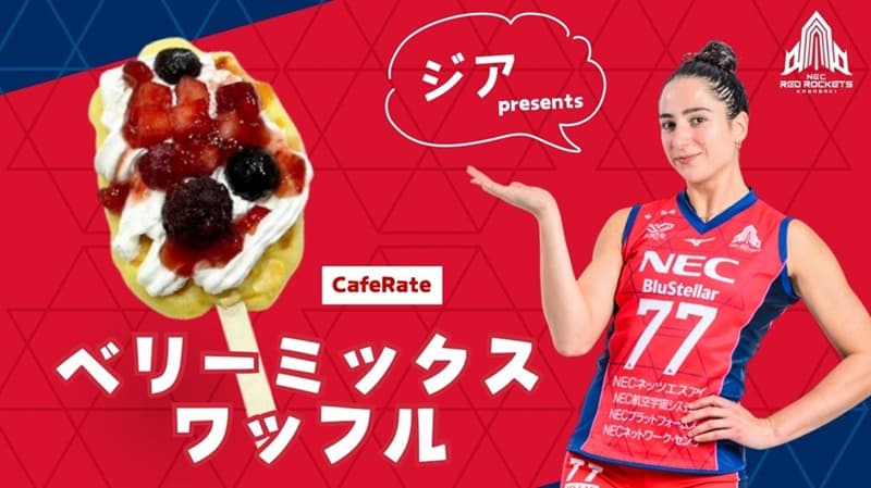 11月15日(土)・16日(日) vs PFUブルーキャッツ石川かほく ｜ 試合情報